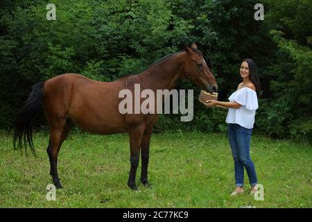 Hübsches Mädchen lächelt streichelt glatt das Pferd`s Mähne auf dem Feld. Zaum, Erwachsener. Stockfoto